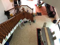 Phillips Avenue (D19), Terrace #215068381